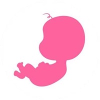 模拟怀孕-孕期40周真实体验