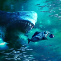 3D海底大猎杀-饥饿鲨